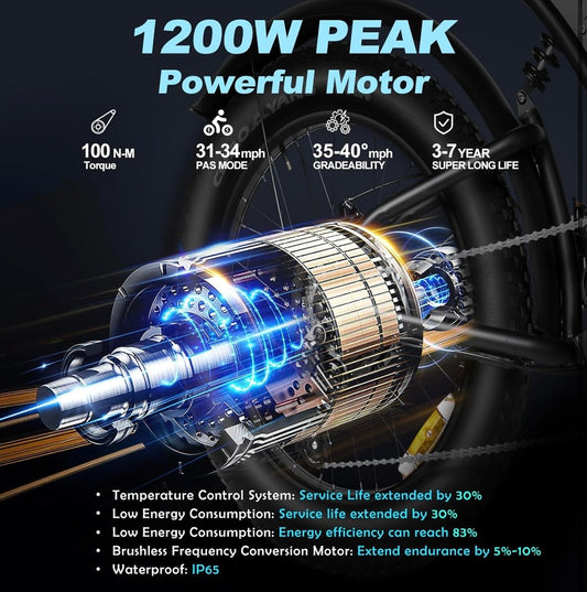 DK400 Ebike